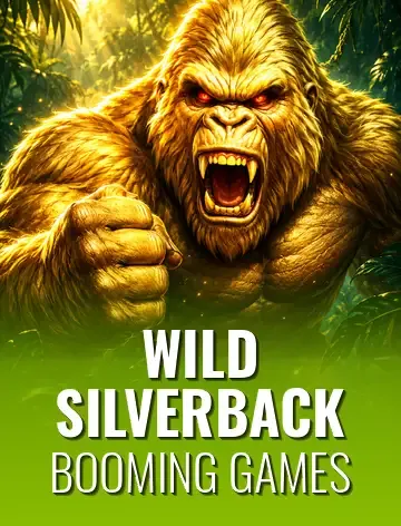 Wild Silverback