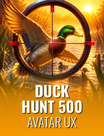 Duck Hunt 500
