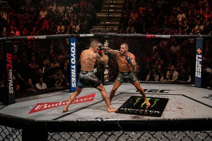 Fight Night — UFC Title Card