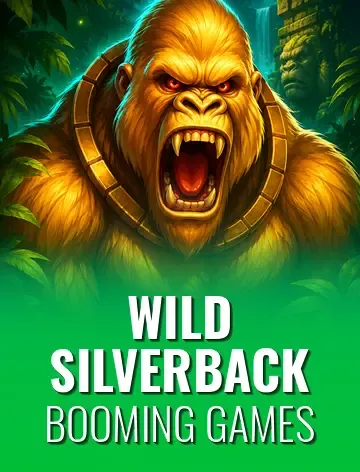 Wild Silverback